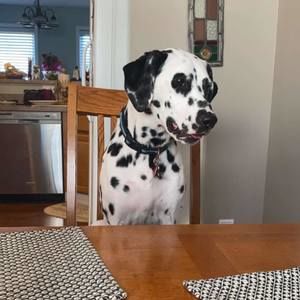 Meet your Posher, Kirk